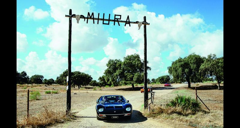 Des Miura, en veux-tu, en voilà...