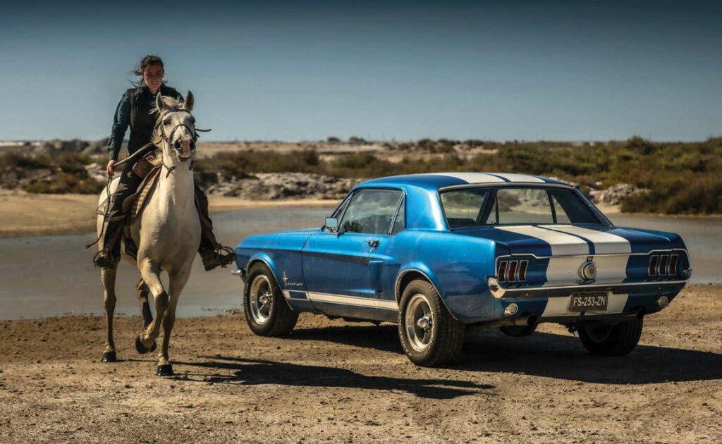 Vincent Ipslanti : les chevaux du plaisir